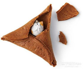 那些猫奴必备的小零食,心都被萌化啦