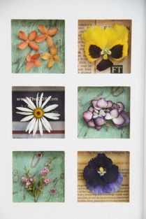 四合苑 首饰精品 diy教学中心, 为企业丶私人, 提供首饰制作课程 银线丶银黏土丶晶钻珠宝decore , 艺术精品创作课程 丽乾花丶自然转印 及精品订制 零售批发服务